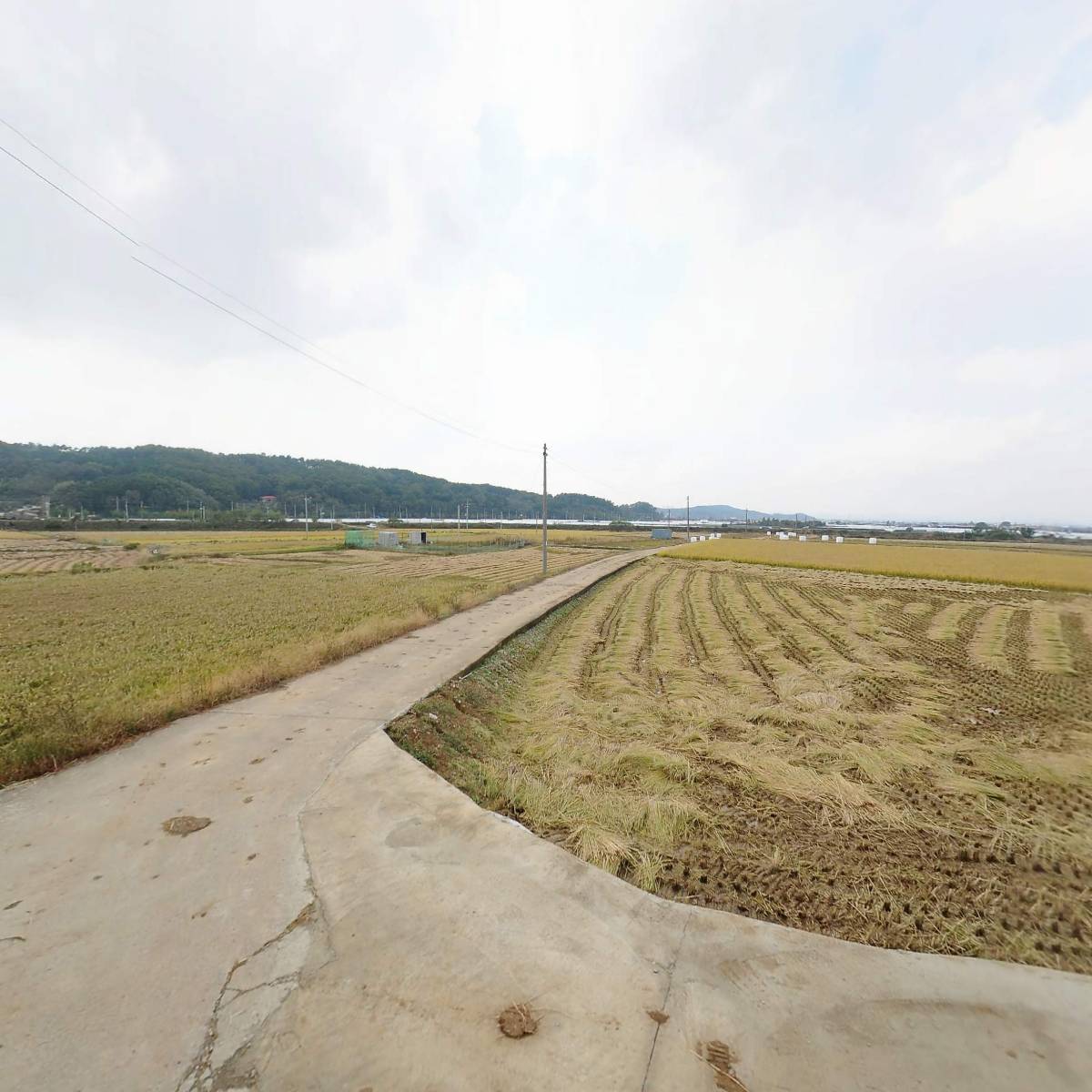 방초오름