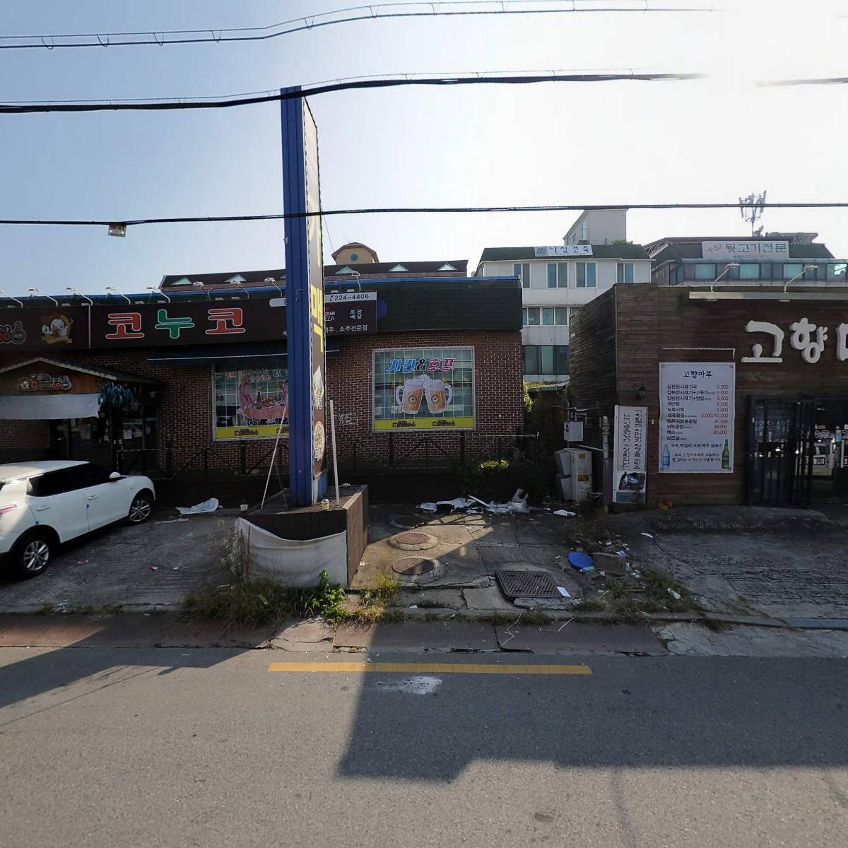 조개꽃천지