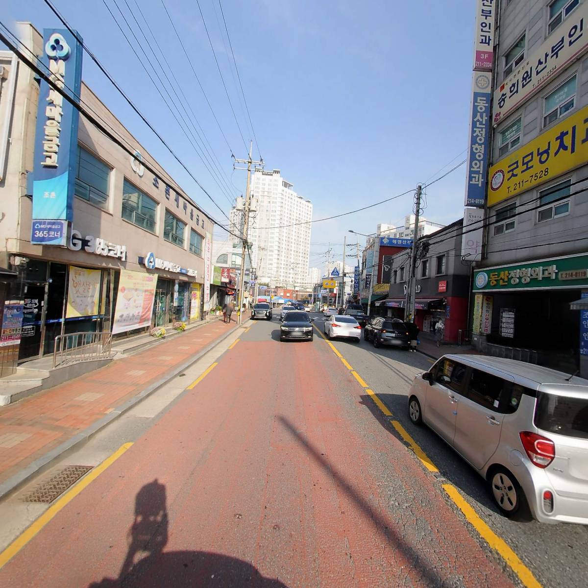 푸른동물병원_2