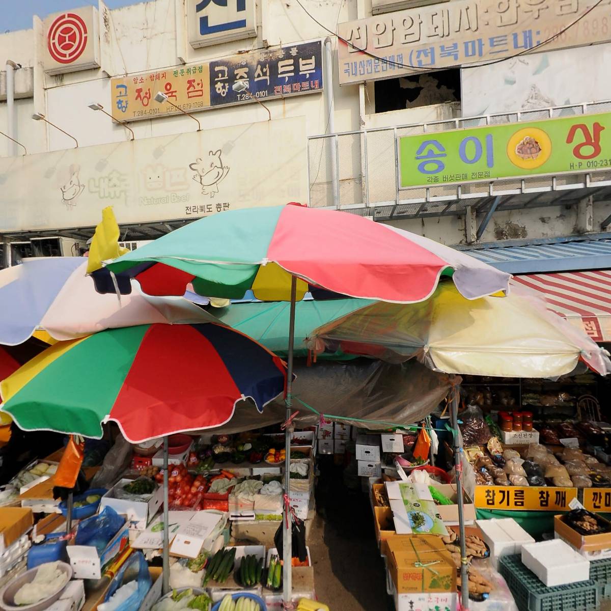 정아네반찬