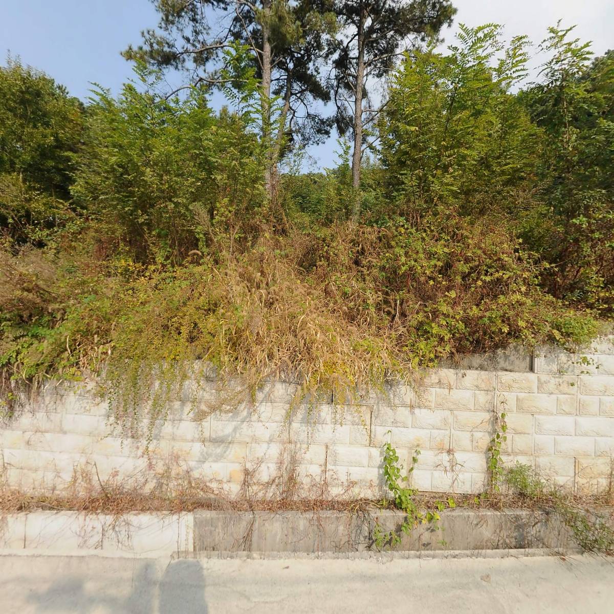 한빛어린이집_3