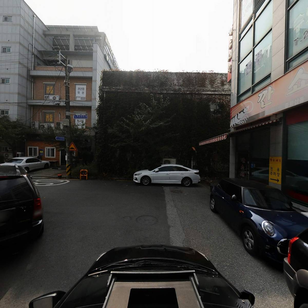 깐쇼새우_4