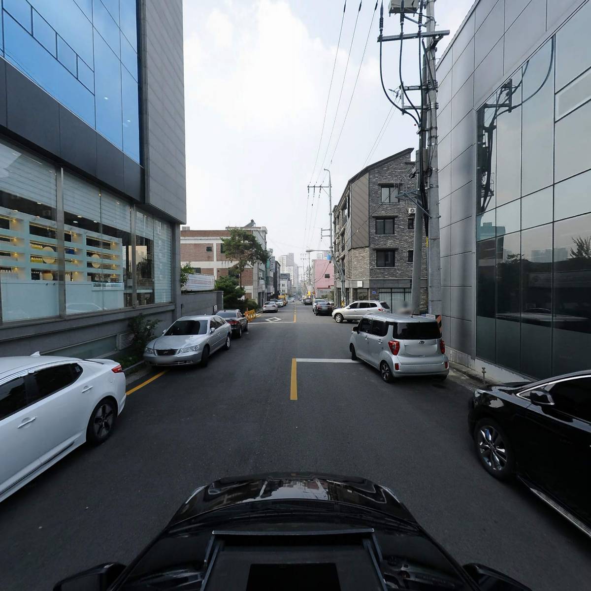 대륙시트_4