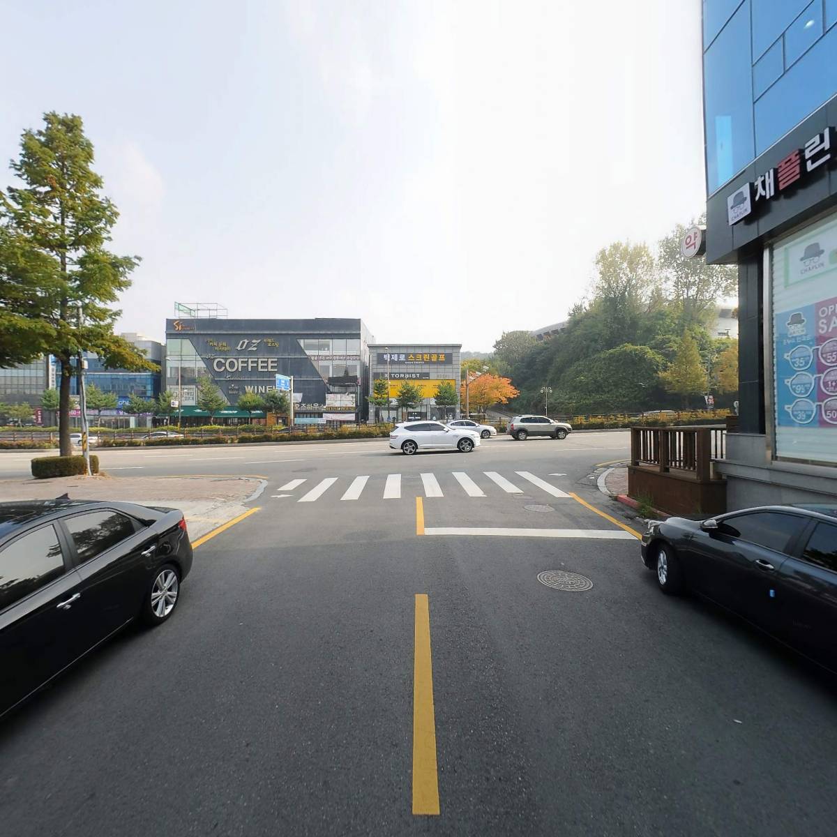 대륙시트_2
