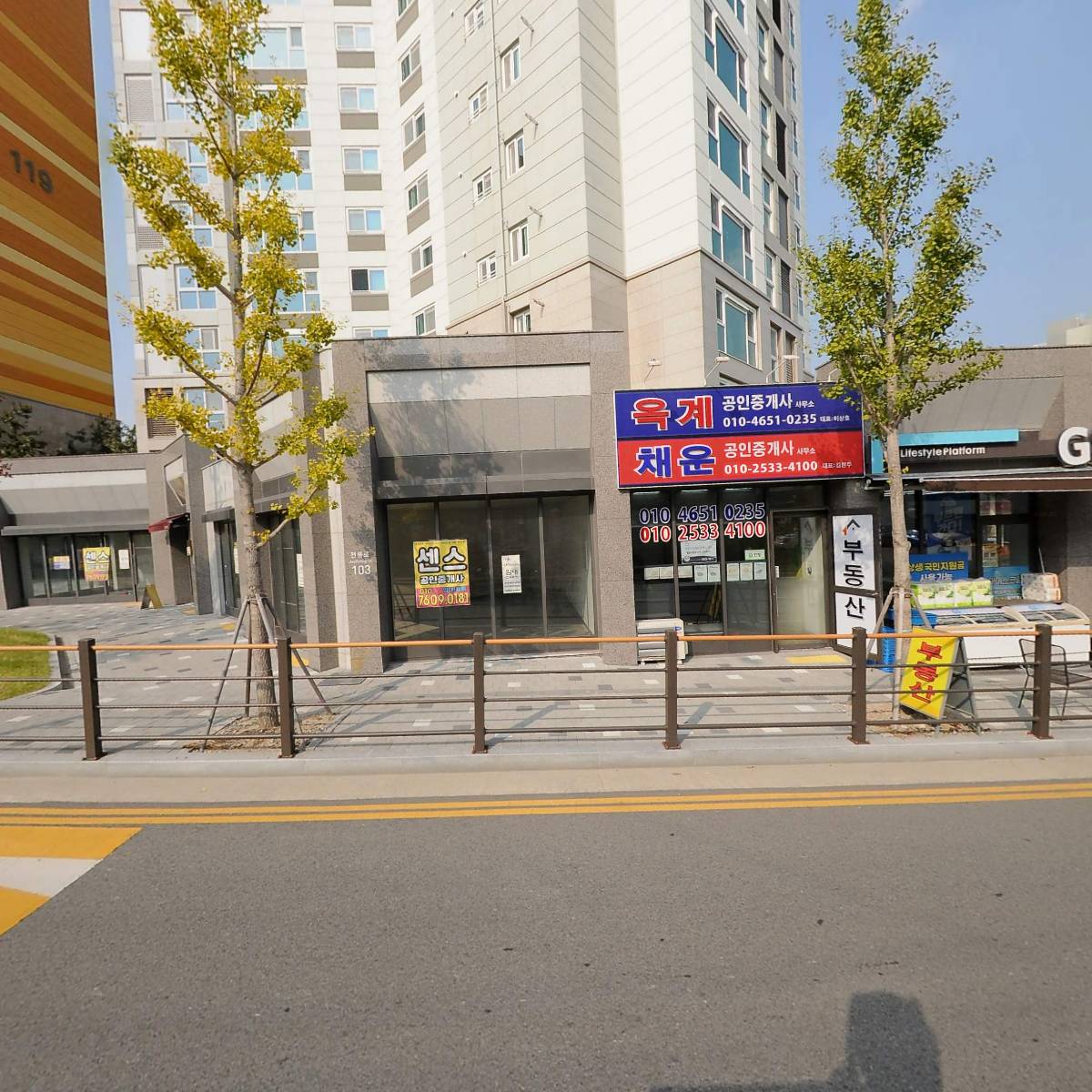 다비드 악기