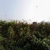 주식회사이디에스_3