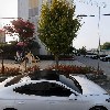 주식회사허그패밀리_3