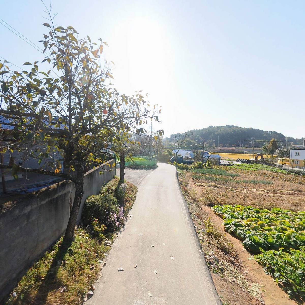 황산농자재_2