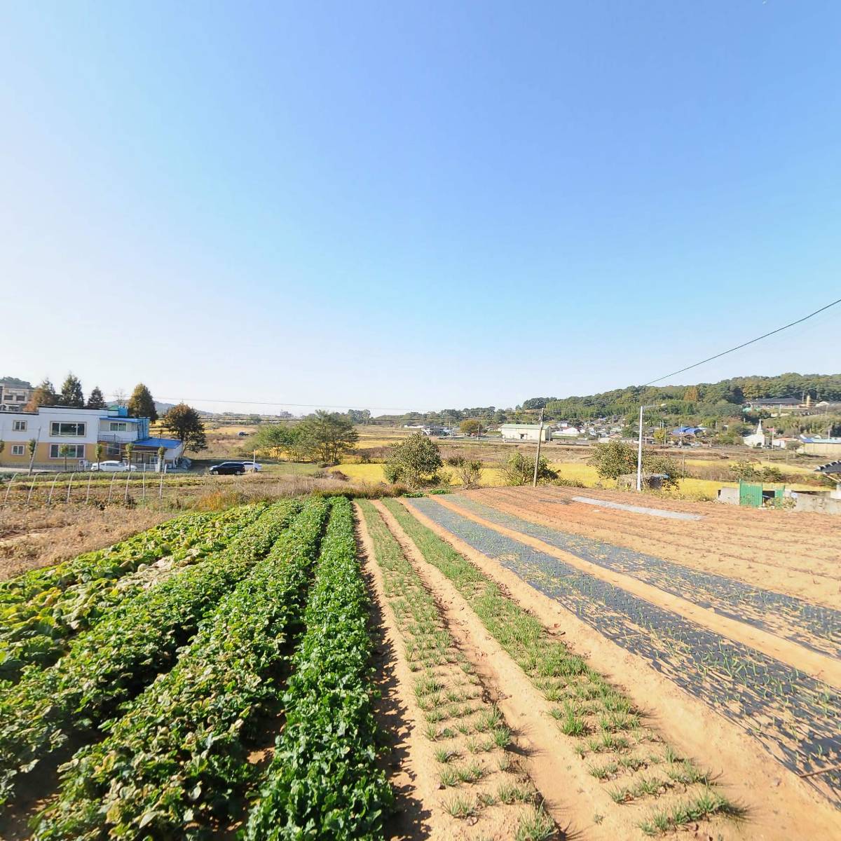 황산농자재_3