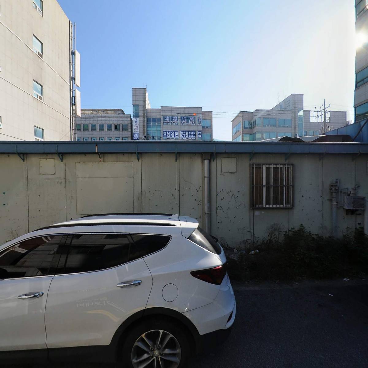 눈꽃막회（신지수산본점）