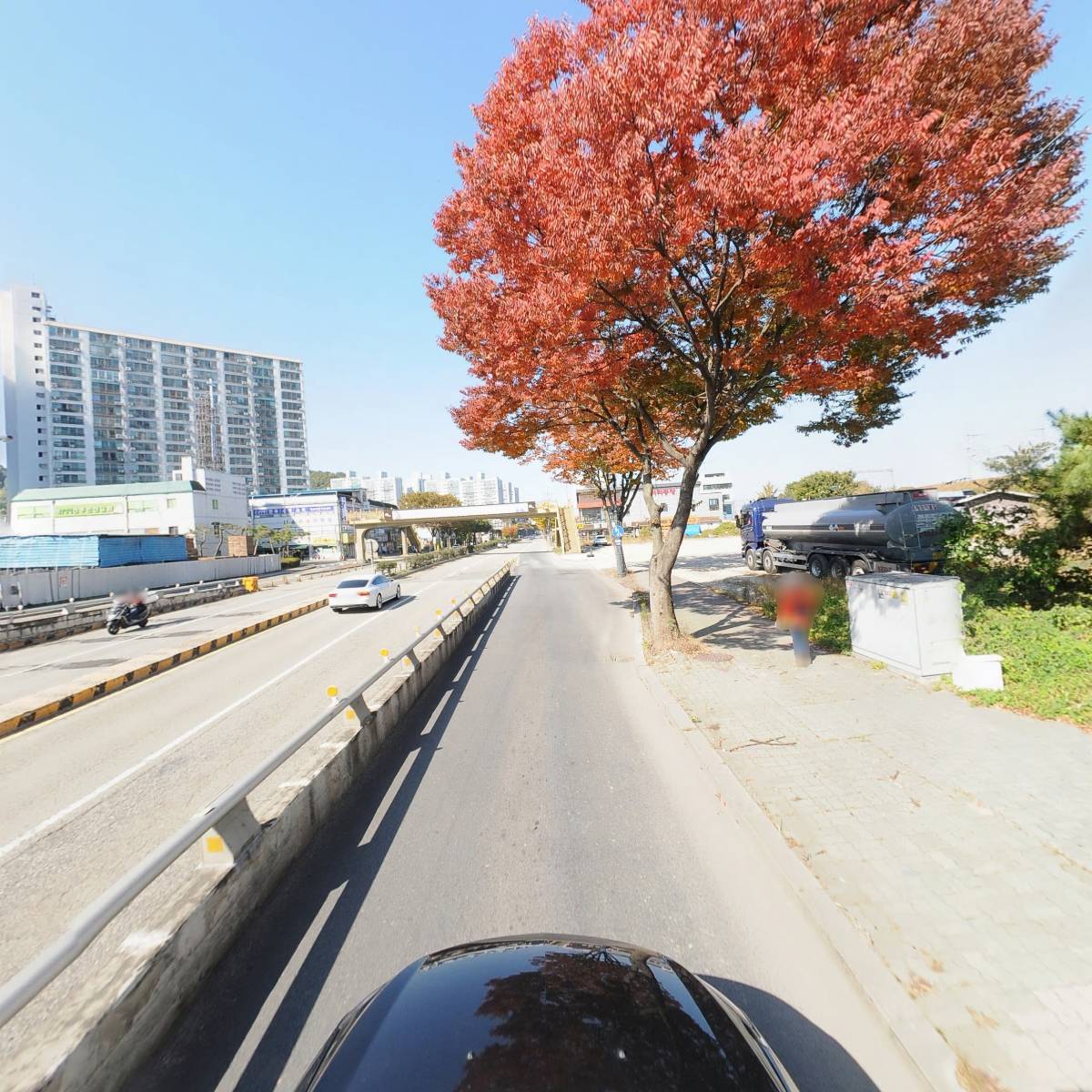 대영가축약품_4