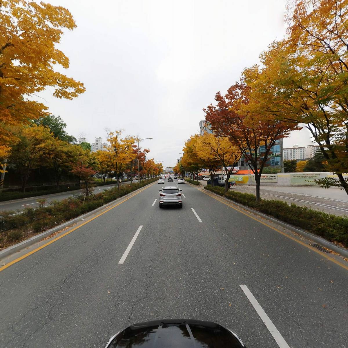 구도일주유소덕진_4