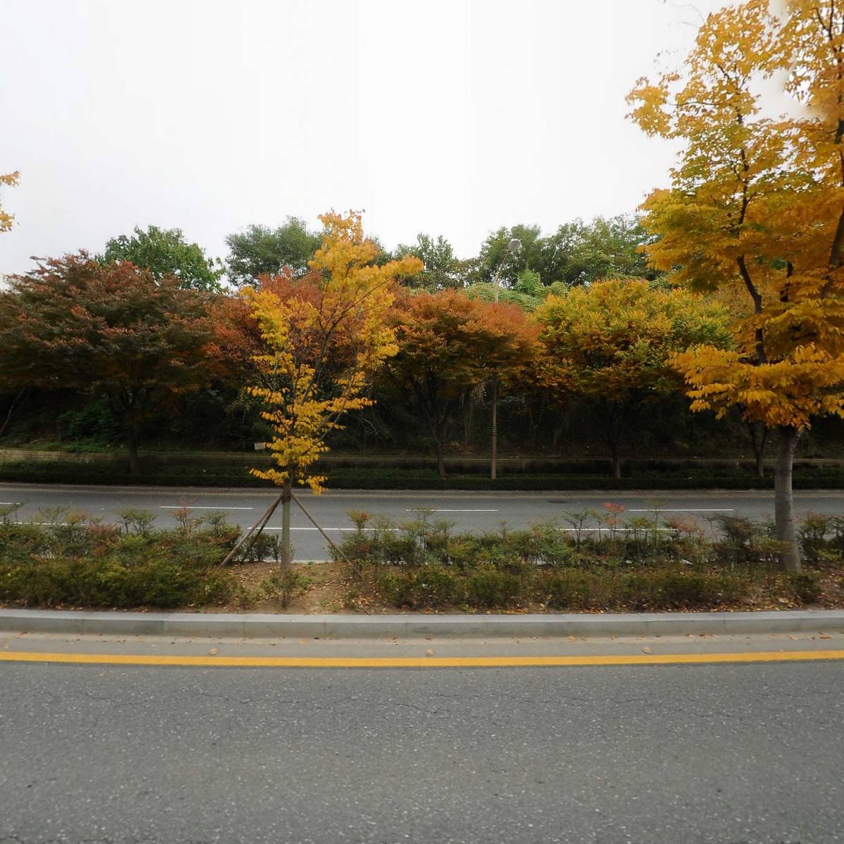 구도일주유소덕진_3