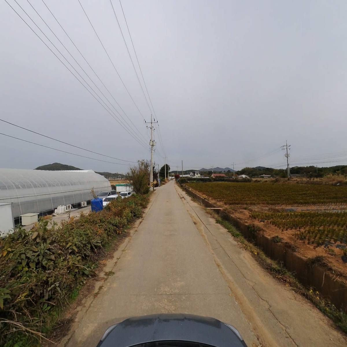 솔래육묘장_4