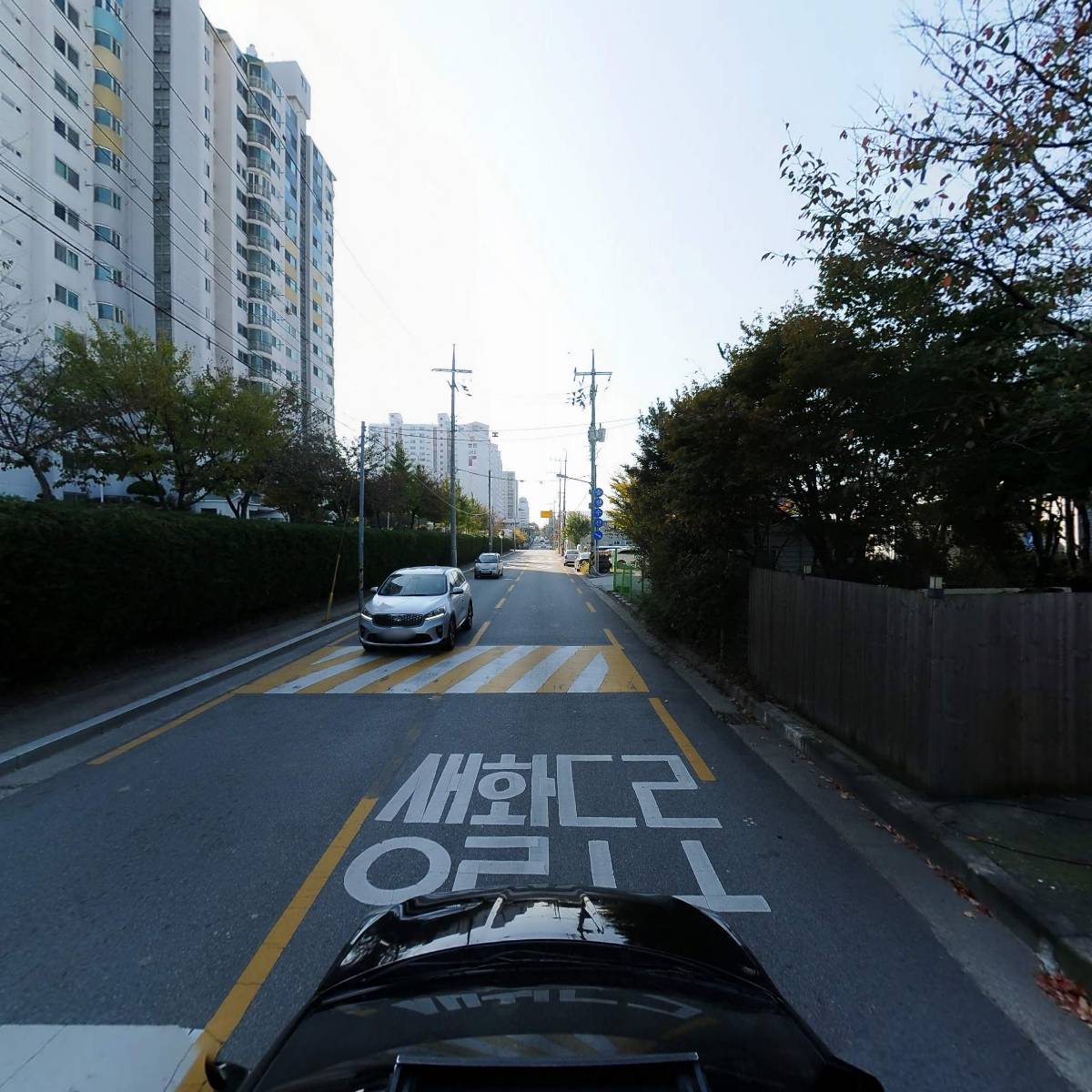 수 자동차 썬팅 매립_4