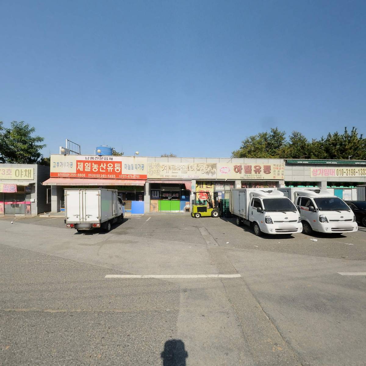 일등계란_3