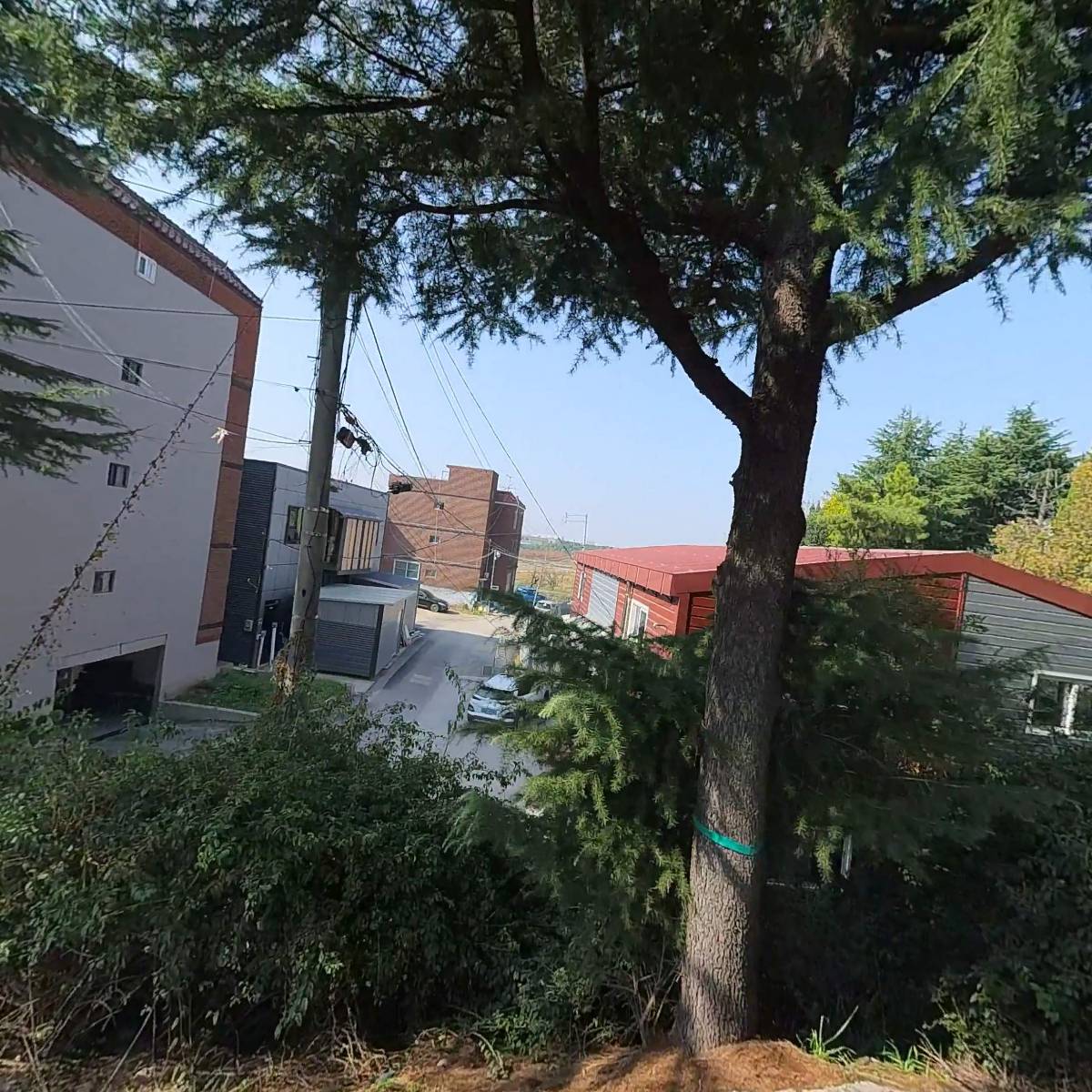 백이엘리베이터(주)_3
