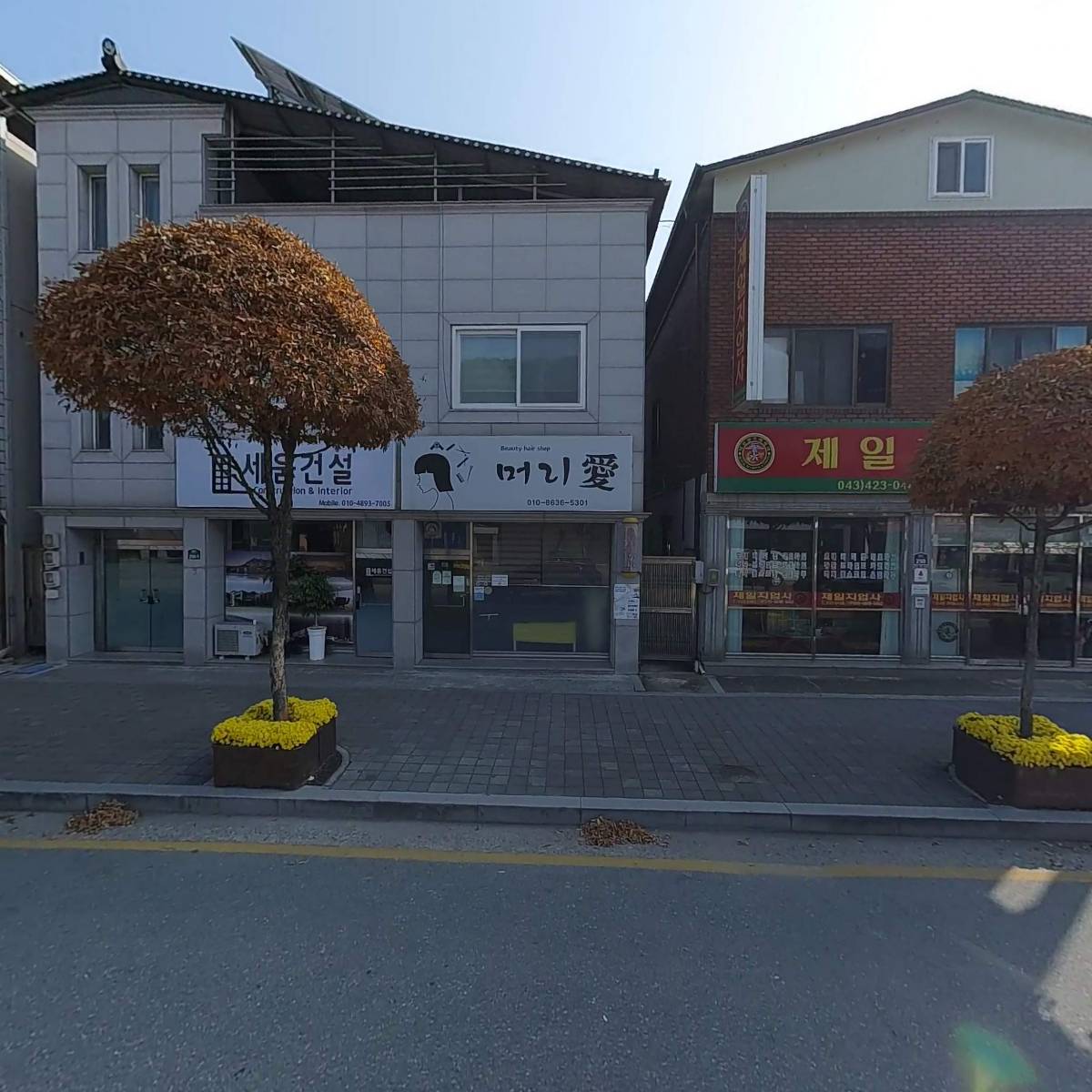 단양새순교회