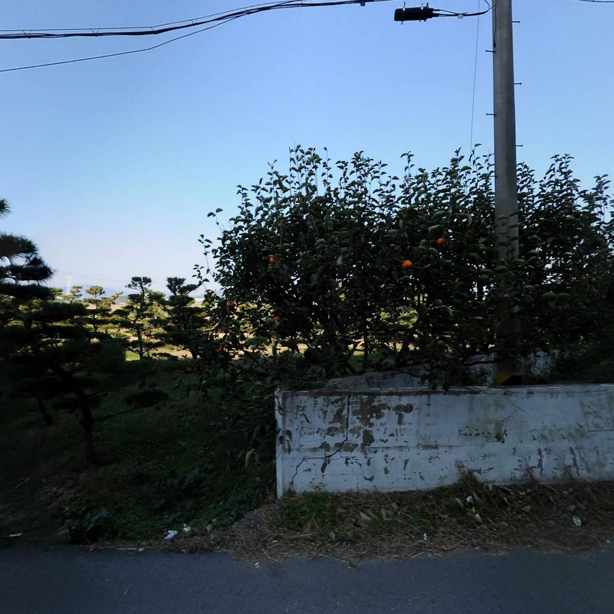 몬타렉스