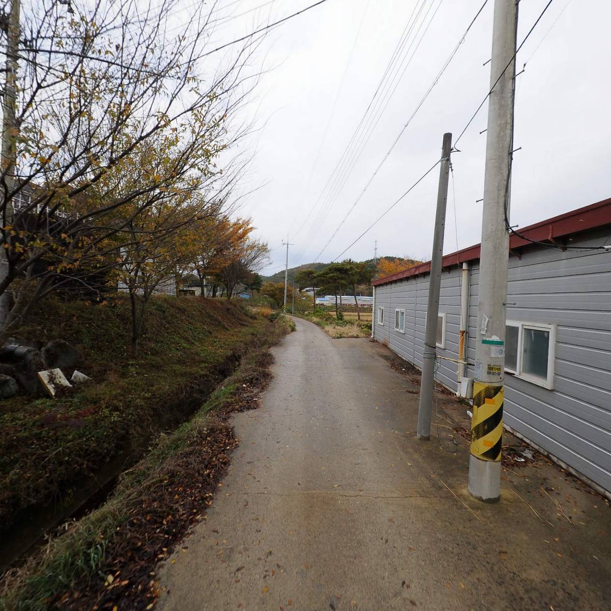 성실에프앤에프영농조합법인_2