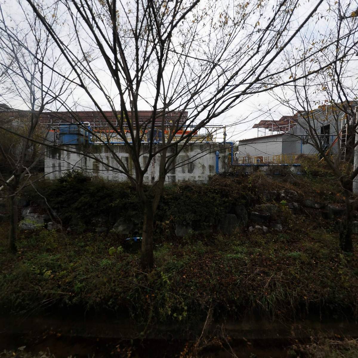 성실에프앤에프영농조합법인