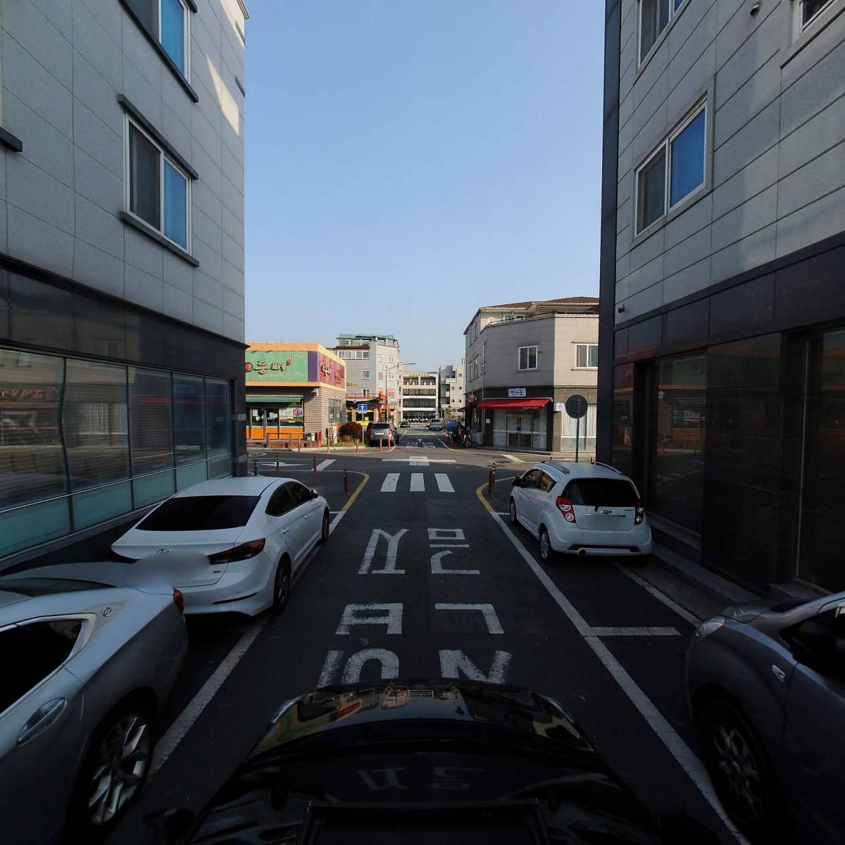 순천새고막_4