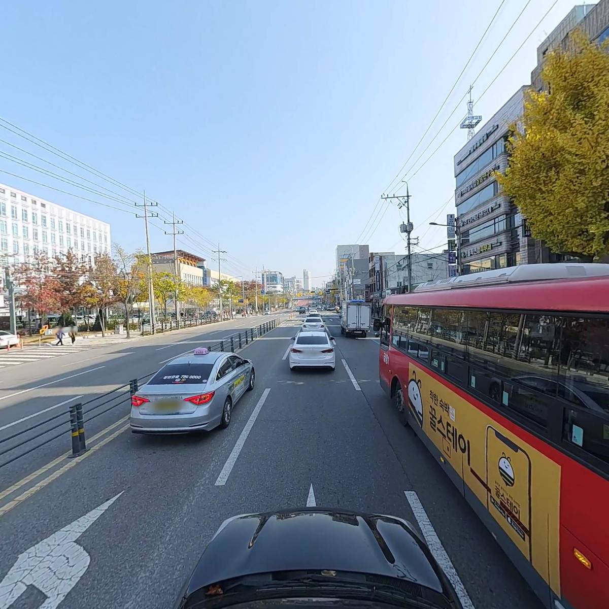 라라7080라이브_4
