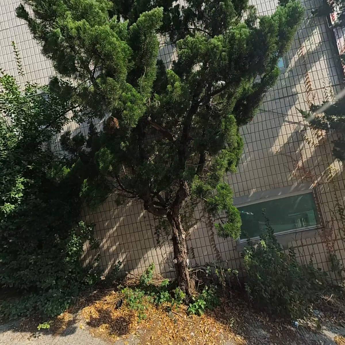 비앤채가구_3