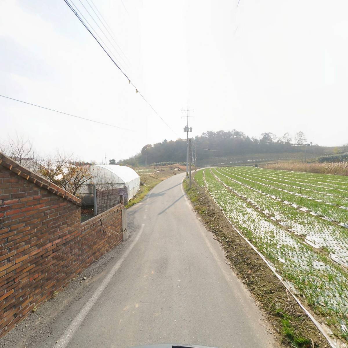 탐진최씨진사공파덕산종중_2