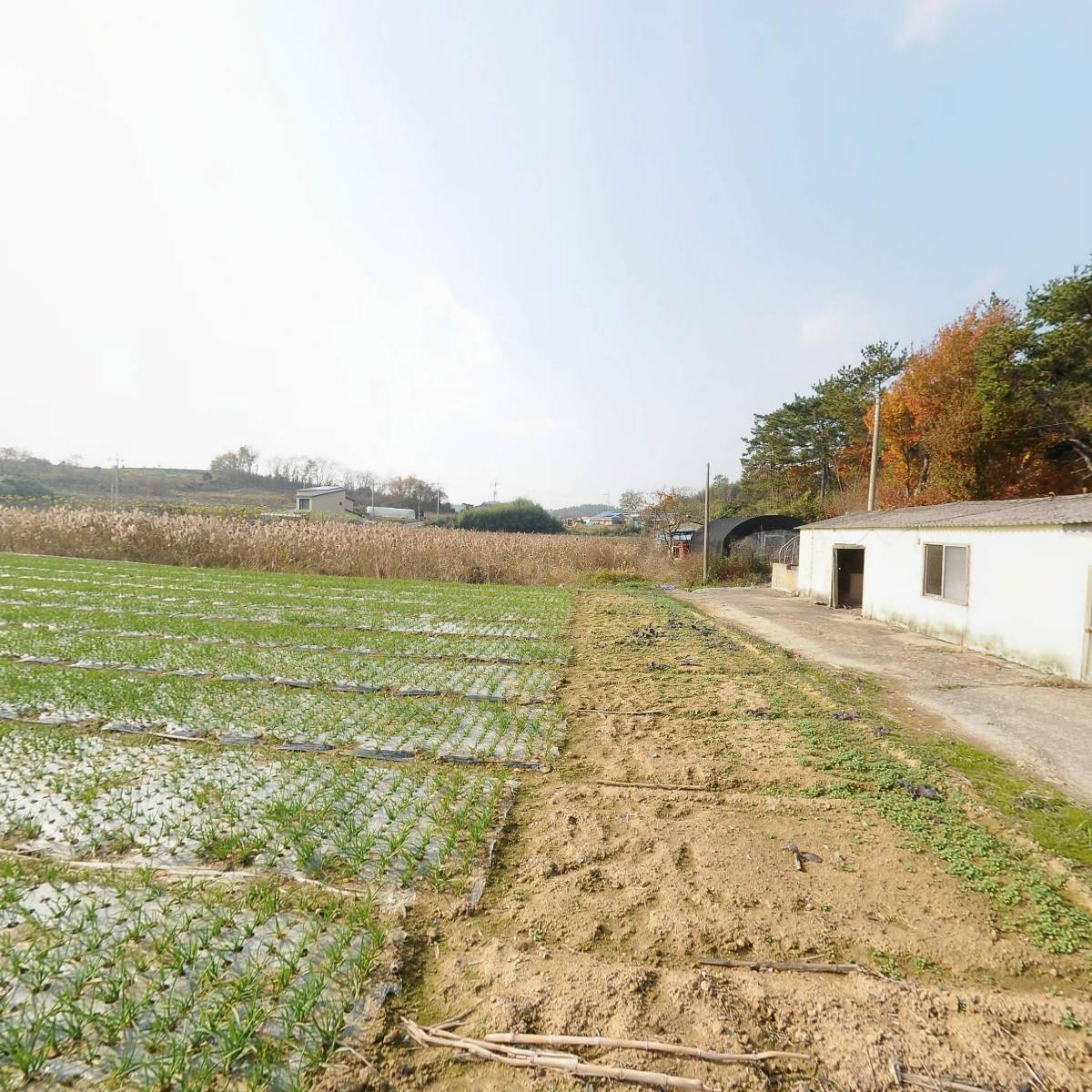 탐진최씨진사공파덕산종중_3