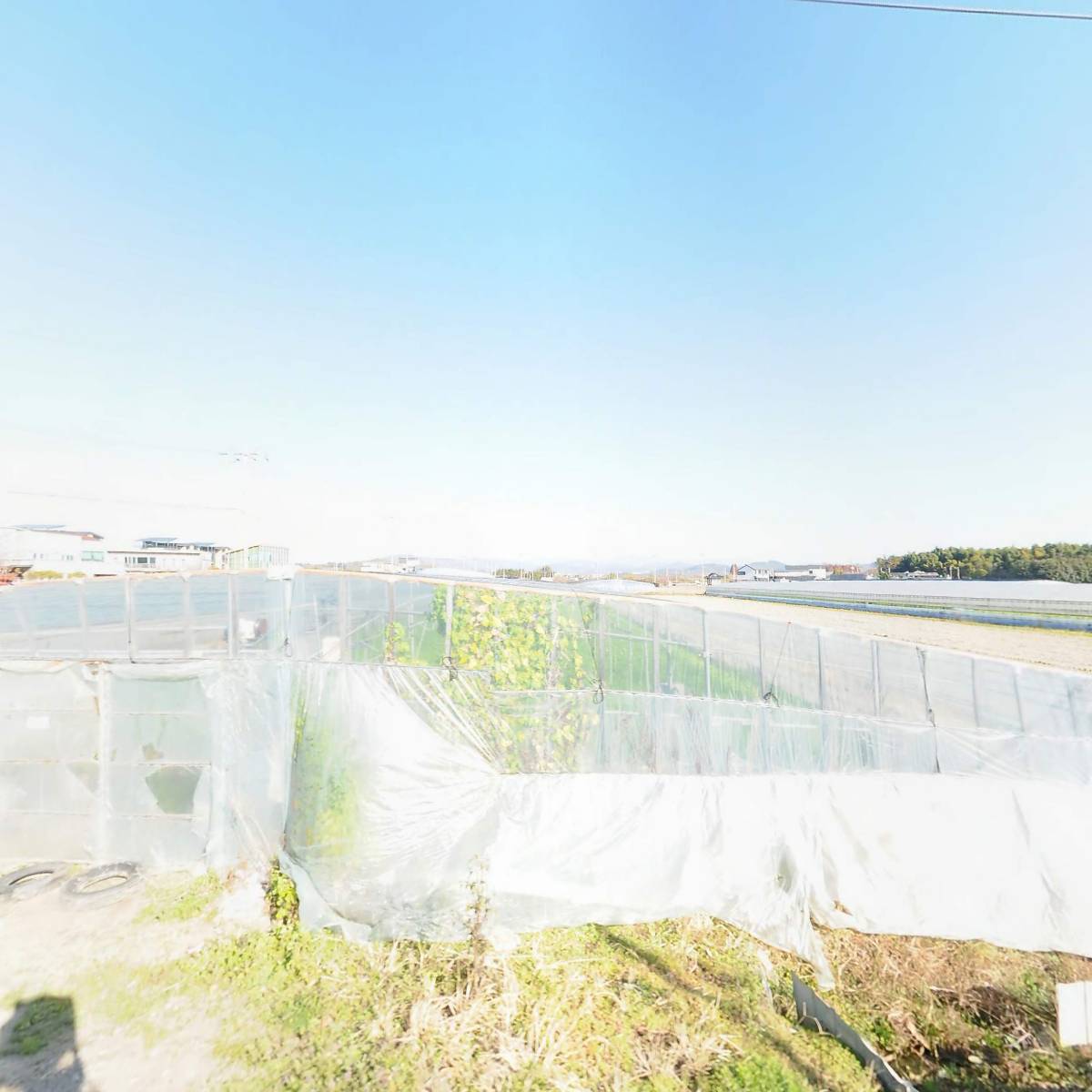 주식회사 도원경식품_3