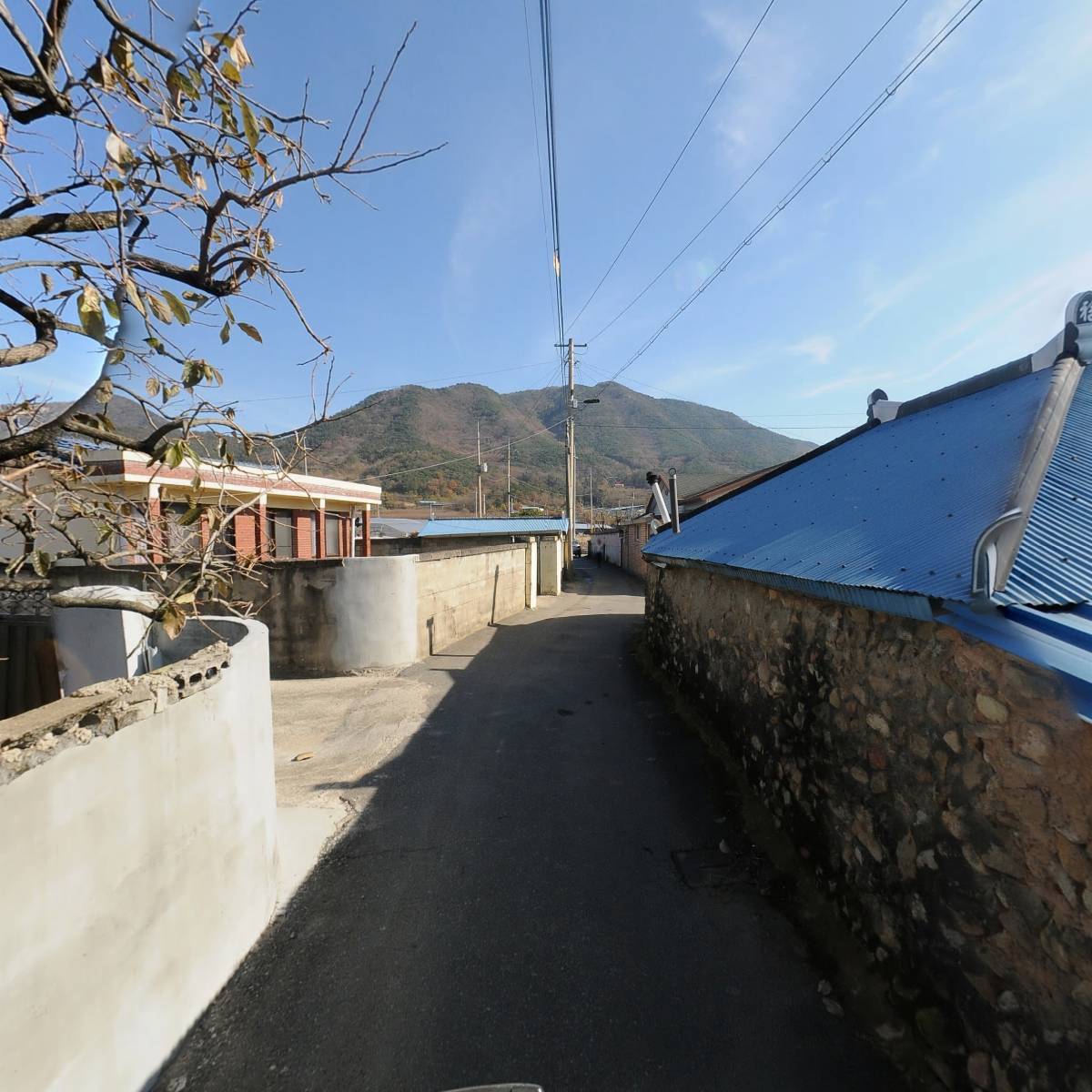 오르빛홀딩스_2