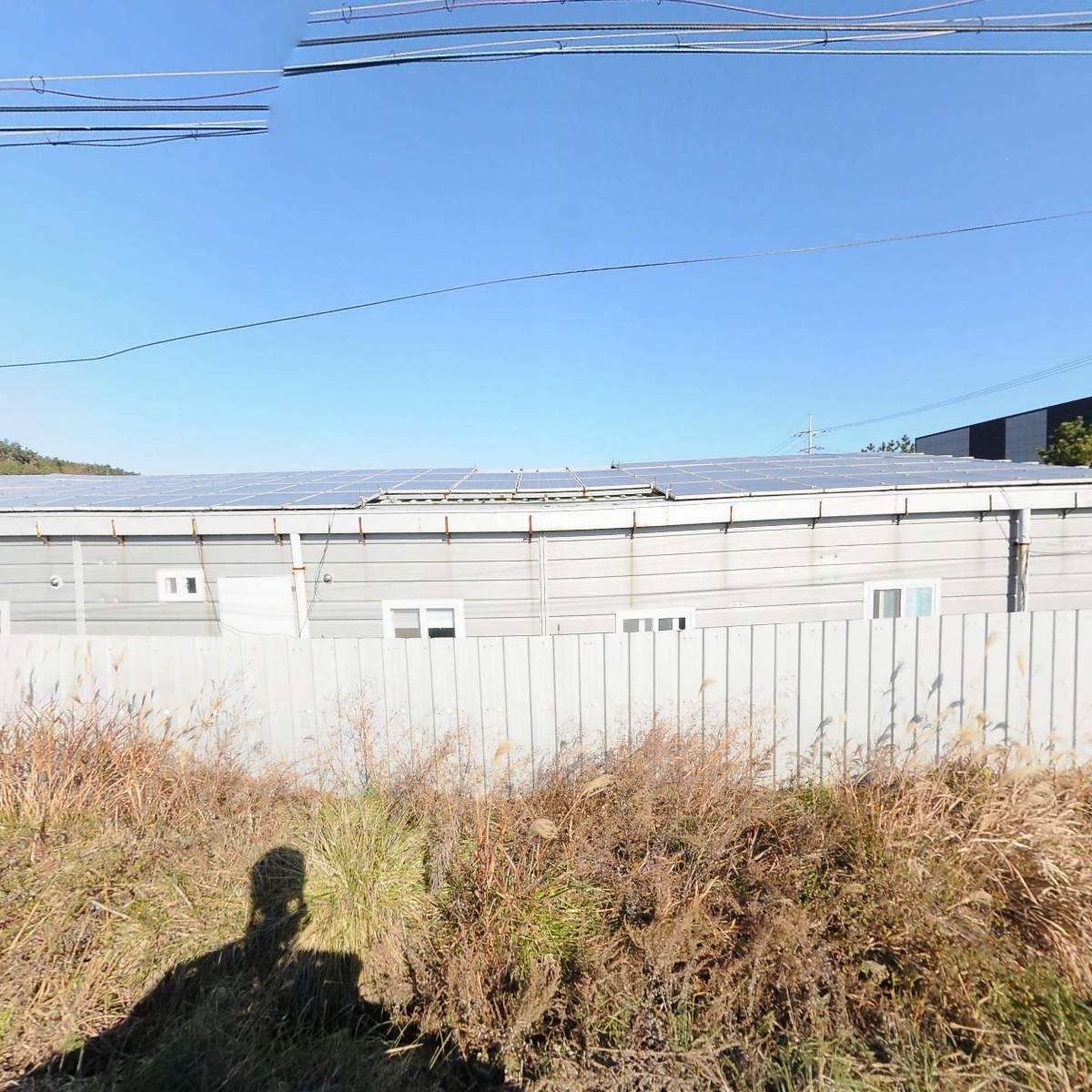 부강수산