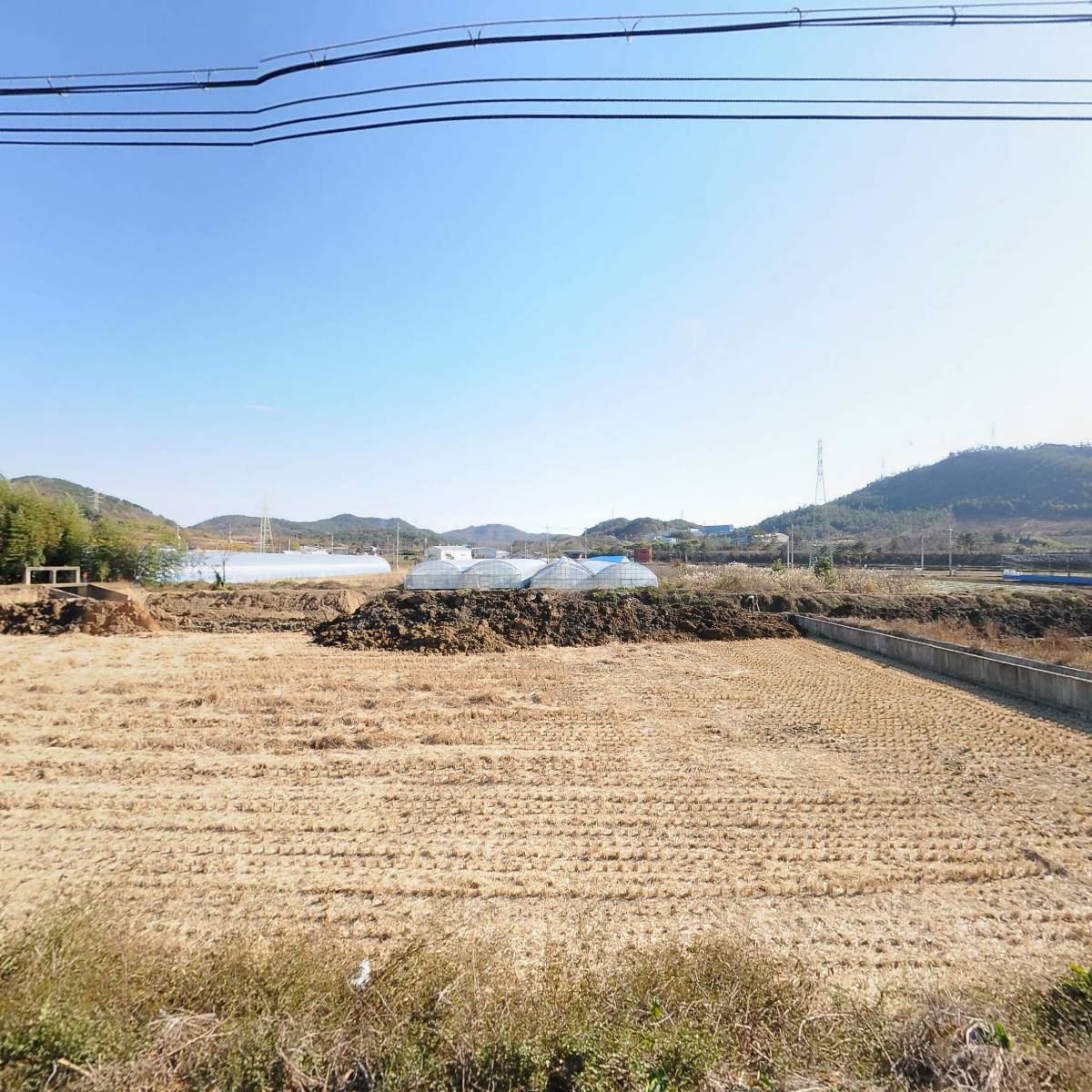 삼향초등학교