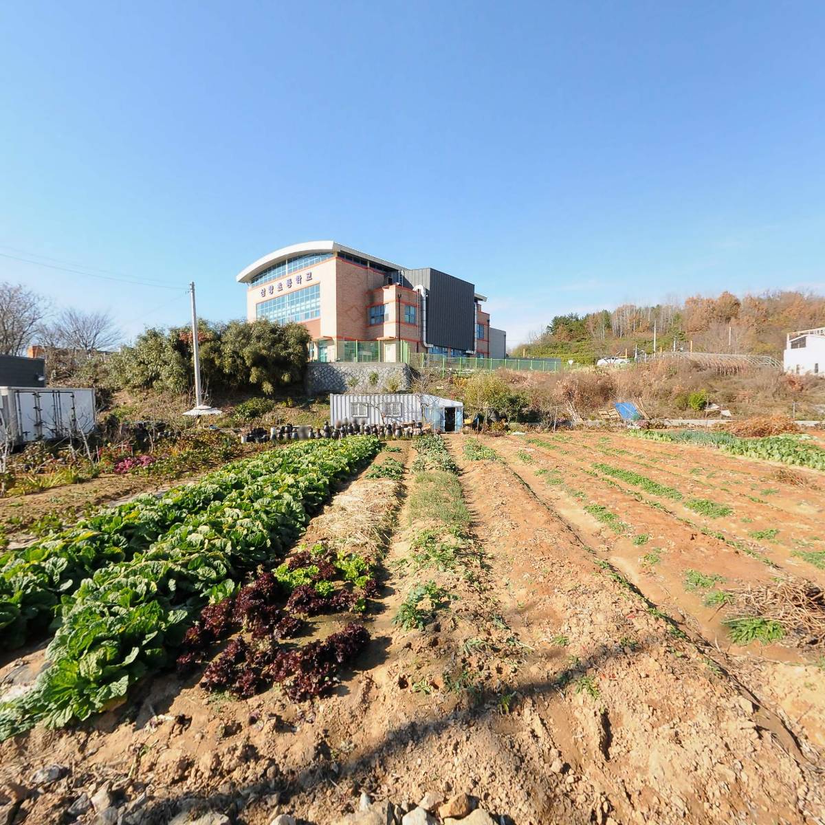 삼향초등학교_3