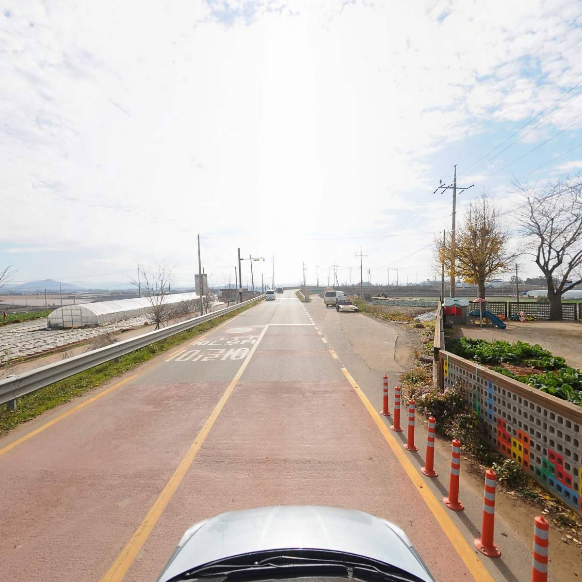 무안 초록나비_4