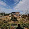 무안새순농장_3
