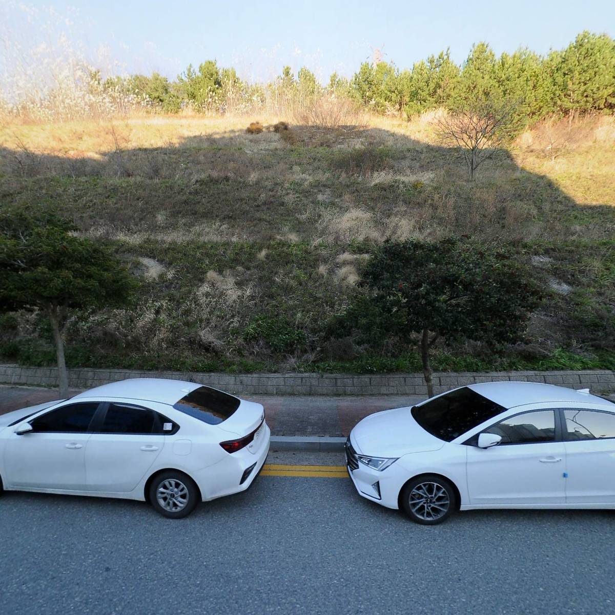 전라남도교육청교육연구정보원