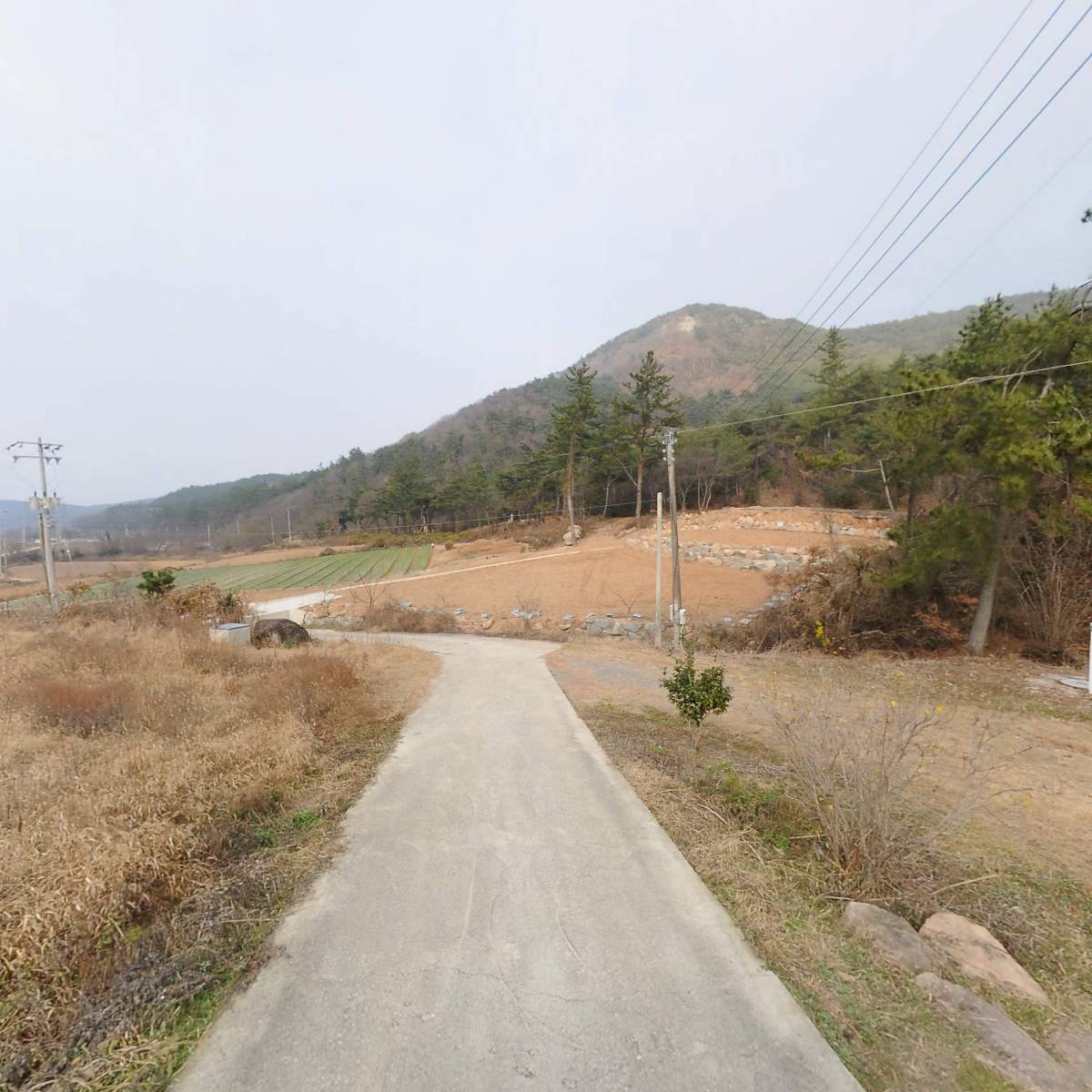 농업회사법인주식회사 산속농장_2