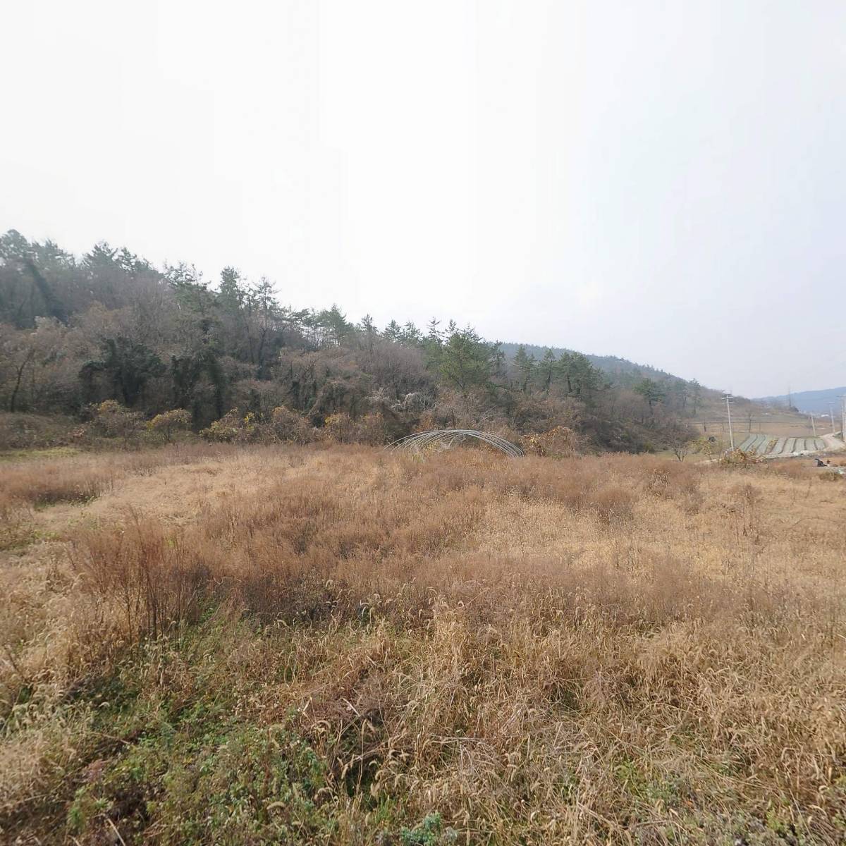농업회사법인주식회사 산속농장