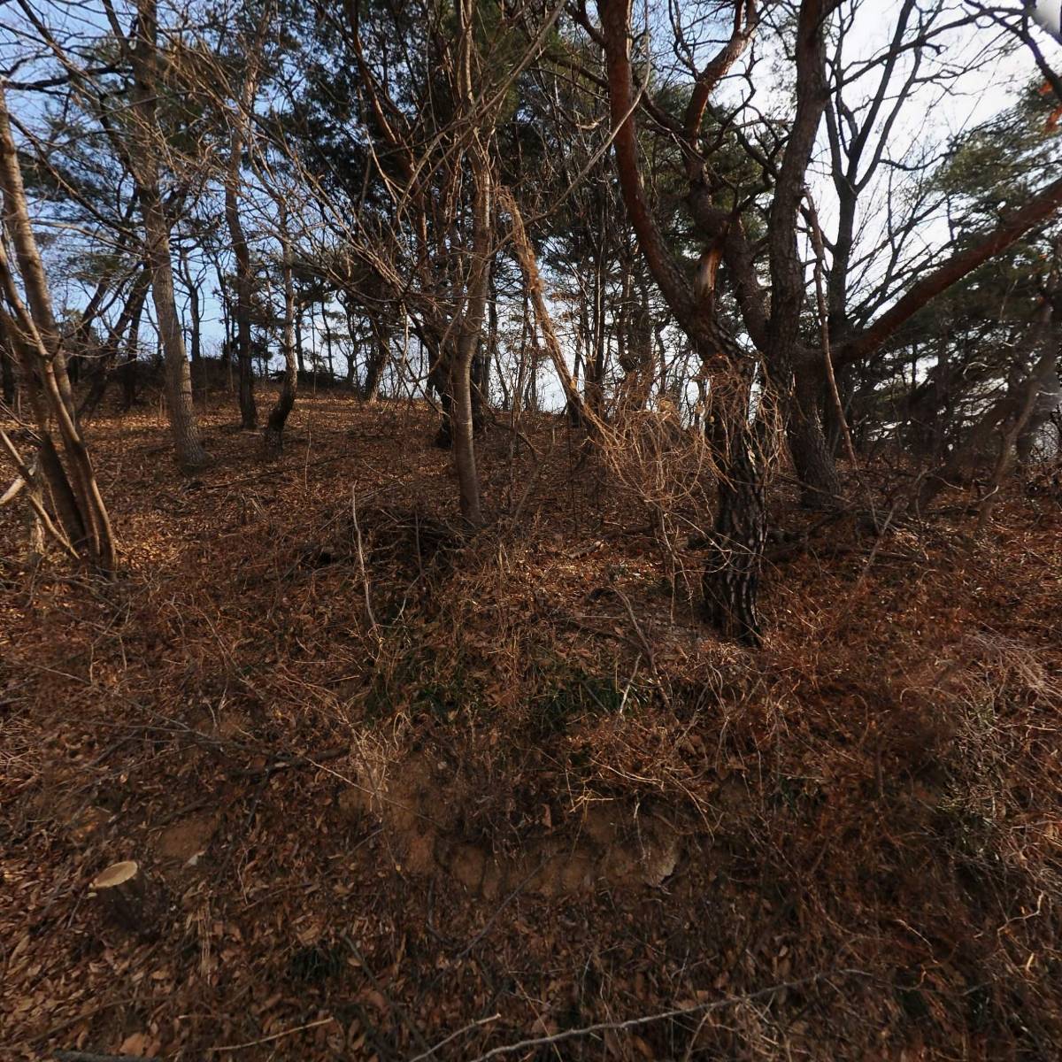 울산과학고등학교