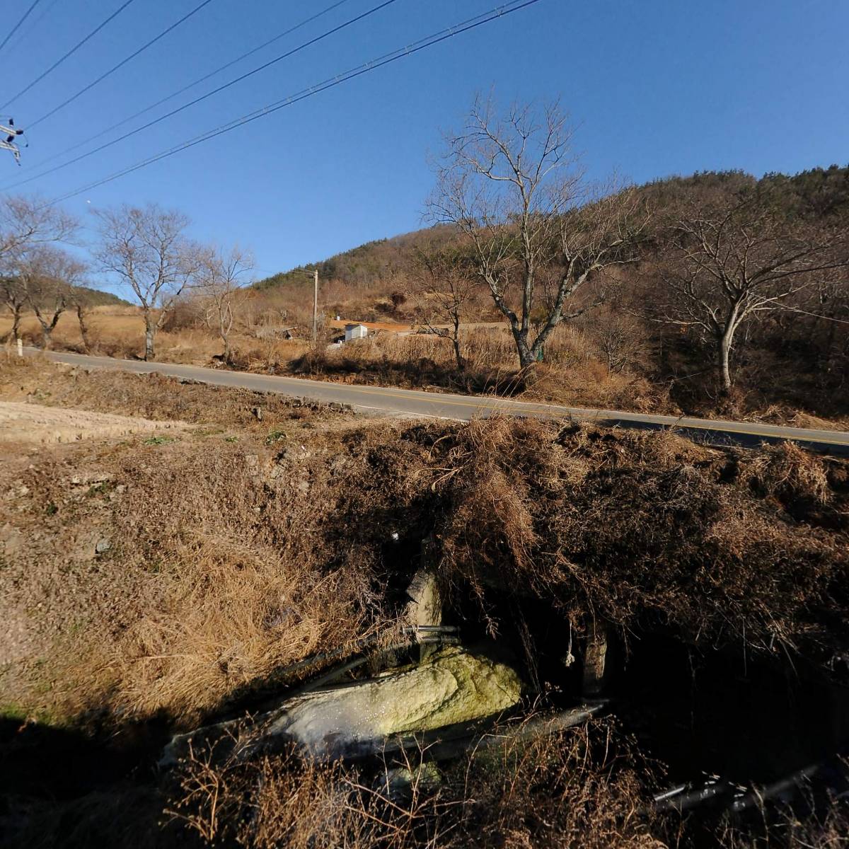 발포어촌계영어조합법인