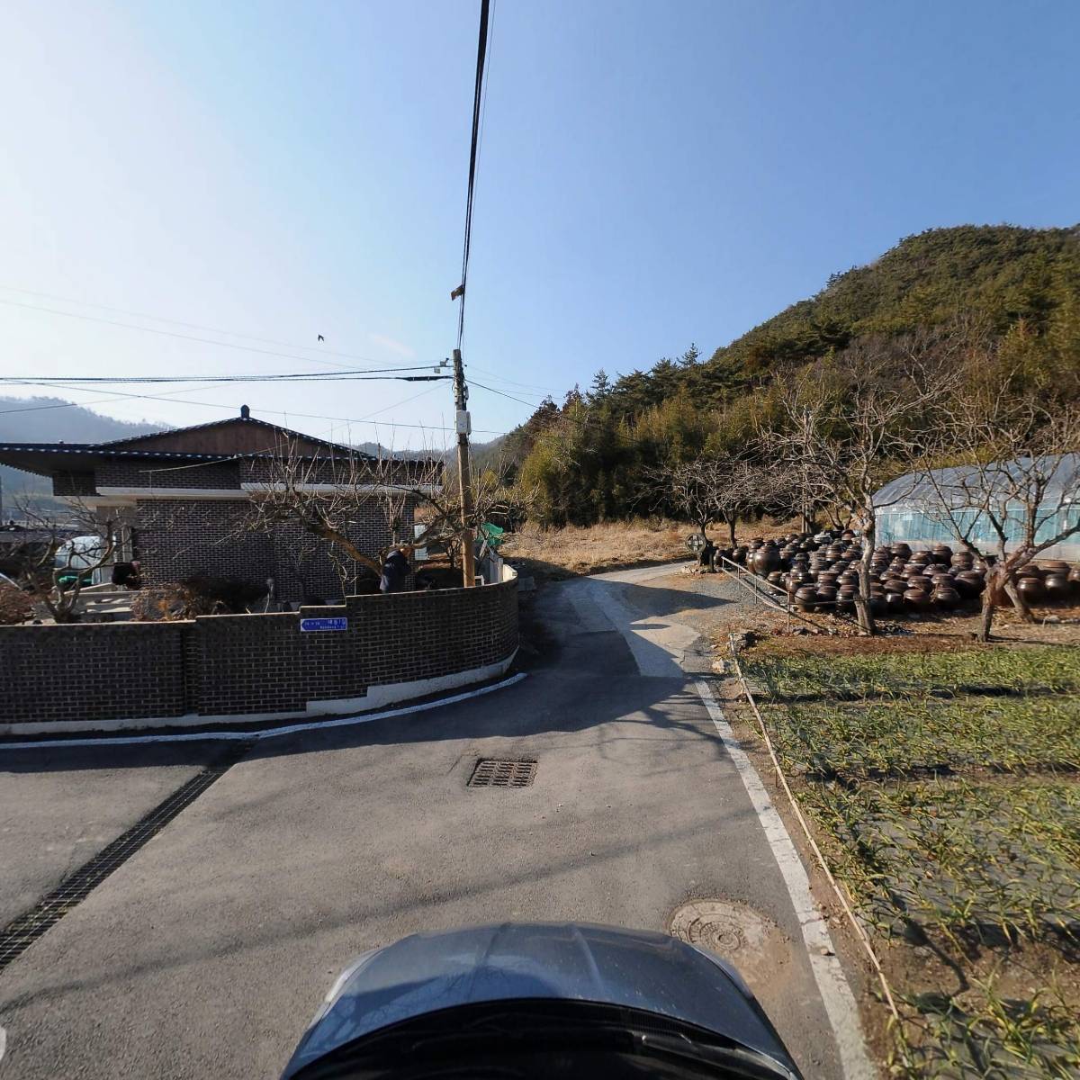 지지_4