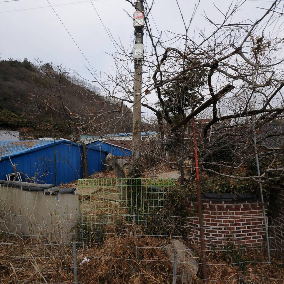 한국문인협회 전남 장흥지부