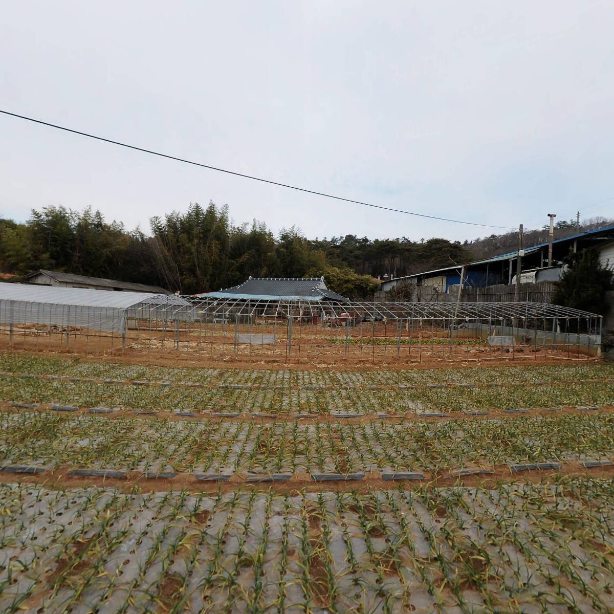 여산송씨축내파종중