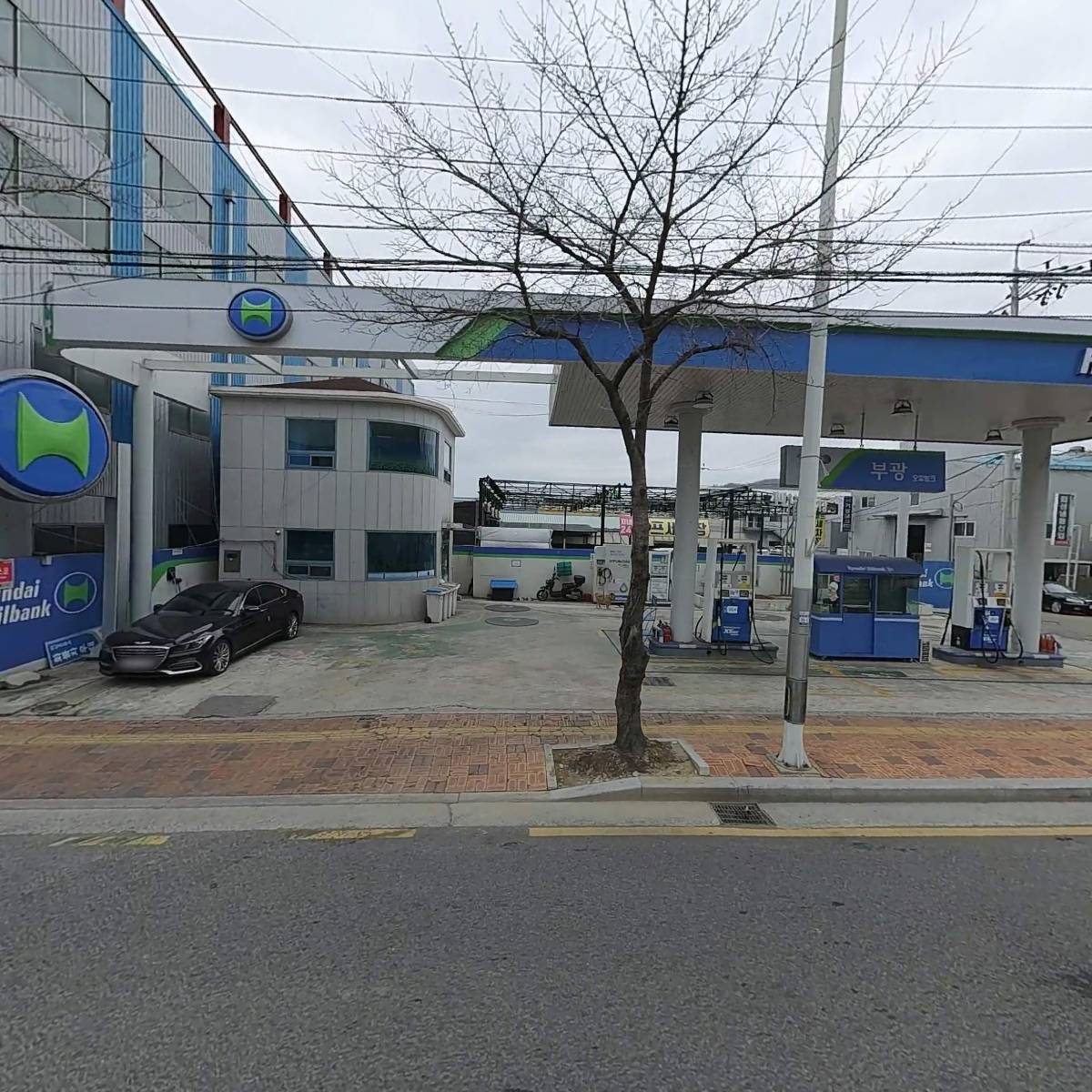 마린조구