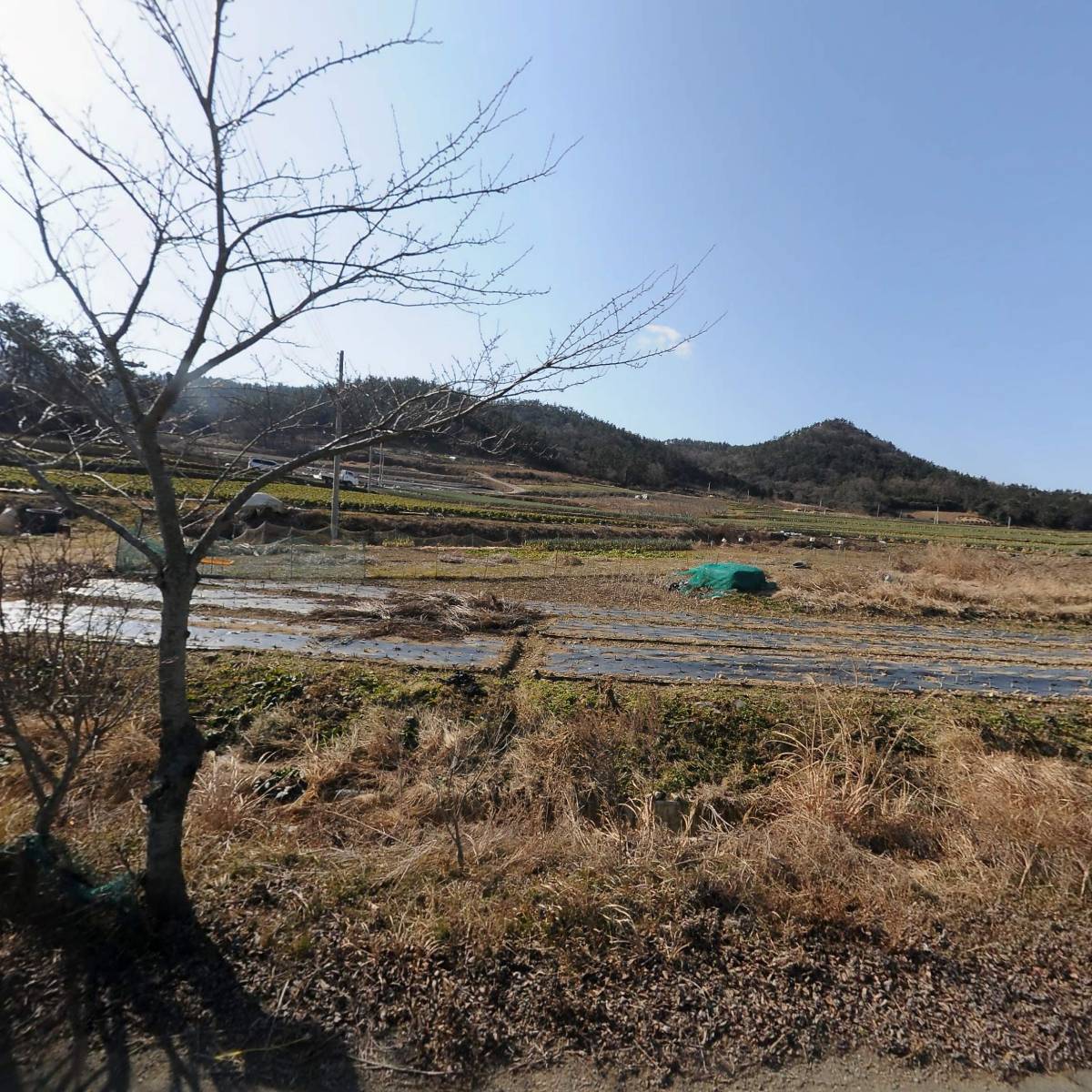 신선해농수산