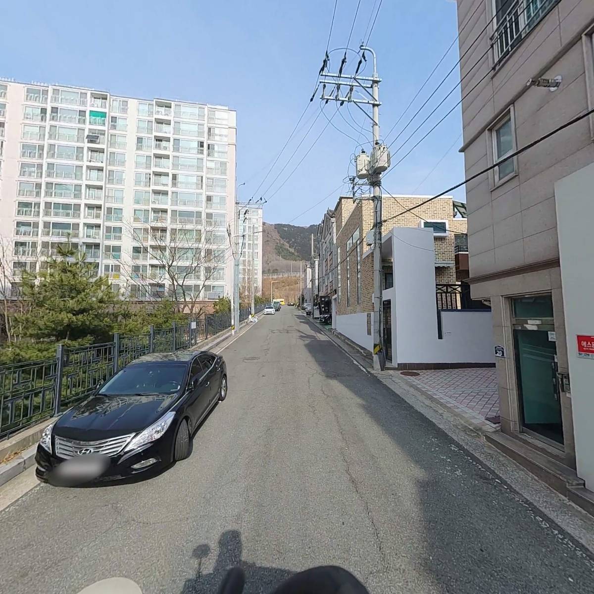 스윗버드_2