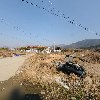 꼬꼬민박_3