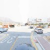 해남 연서네농장_4